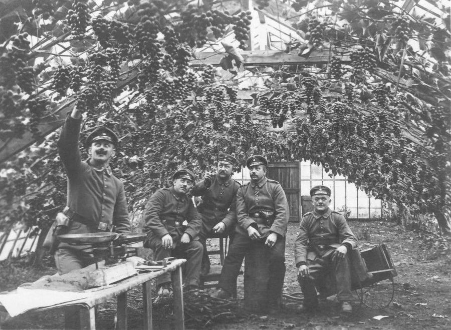 Duitse soldaten in een serre