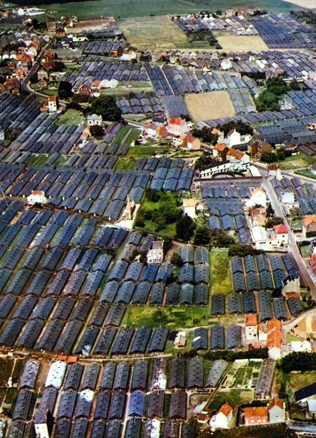 Luchtfoto Blockxveld