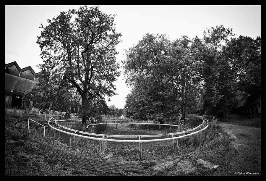 Renbaan Groenendaal 2010